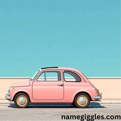 Funny Car Names for Slow Cars