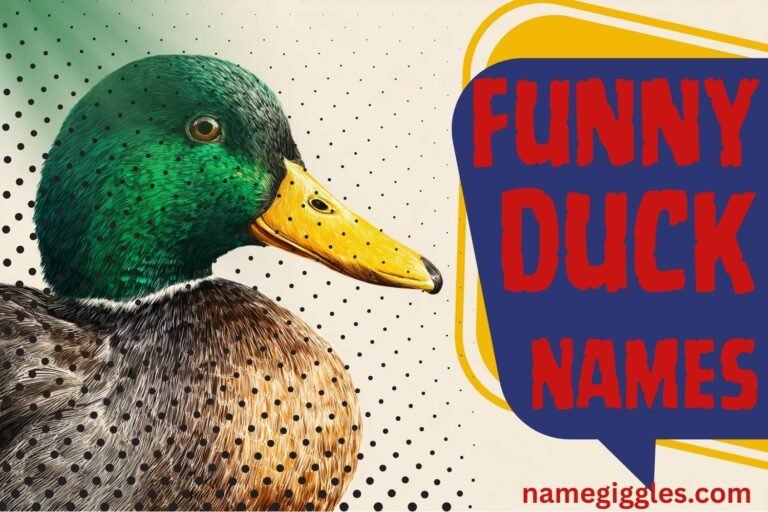 funny duck names