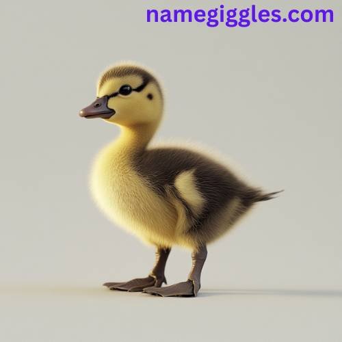 Baby Goose (Gosling) Names