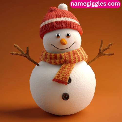 Silly Snowman Names