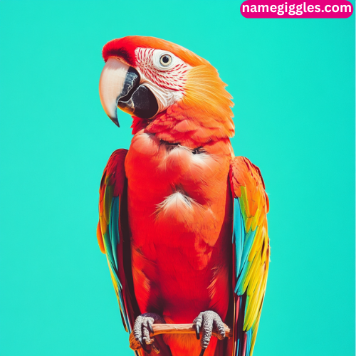 Pop Culture-Inspired Parrot Names